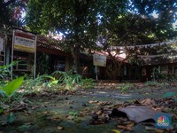 Bangunan SD Ini Kini 'Horor' Bak Rumah Hantu, Begini Potretnya