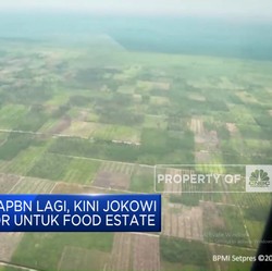 Ogah Pakai APBN Lagi, Kini Jokowi Cari Investor Untuk Food Estate