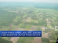 Ogah Pakai APBN Lagi, Kini Jokowi Cari Investor Untuk Food Estate