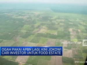 Ogah Pakai APBN Lagi, Kini Jokowi Cari Investor Untuk Food Estate