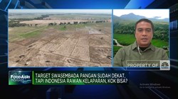 Produksi Beras Cs Turun & Tergantung Pangan Impor, RI Rawan Kelaparan?