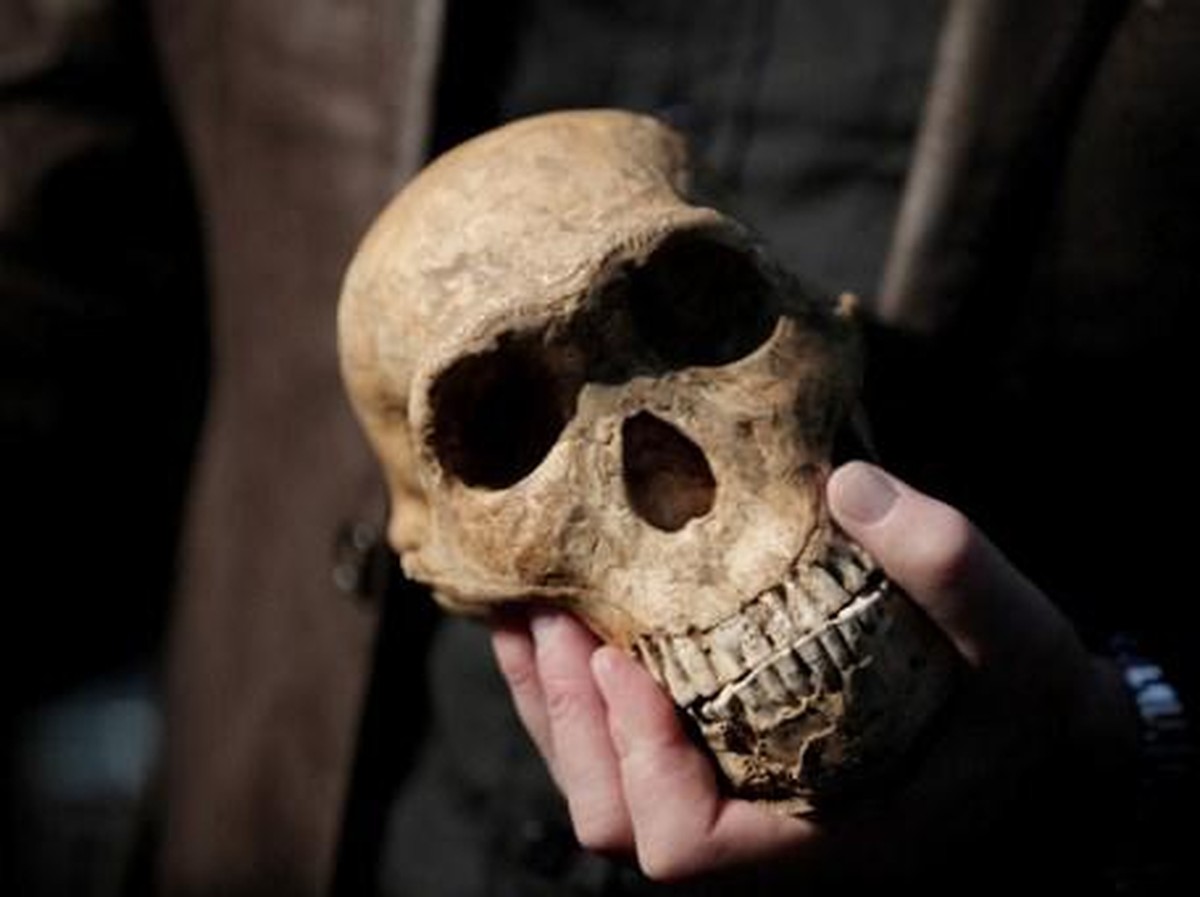 Fosil Anak di Israel Ungkap Perkawinan Dini Homo sapiens dan Neanderthal