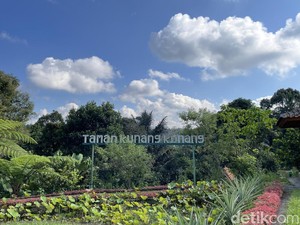 Video: Rekomendasi Tempat Dinner Romantis Ditemani Kunang-kunang di Bali