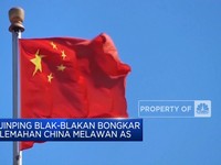 Xi Bongkar Kelemahan China Hingga PTFI Diminta Bangun Smelter Lagi