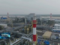 Resmi Beroperasi! Ini Wujud Pabrik Tembaga Terbesar Dunia Freeport