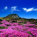 Gunung Tertinggi di Korea Selatan Rusak karena Mie Instan, Kok Bisa?