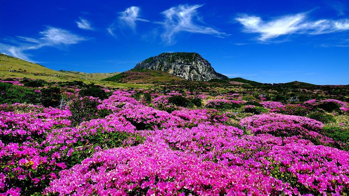 Gunung Tertinggi di Korea Selatan Rusak karena Mie Instan, Kok Bisa?