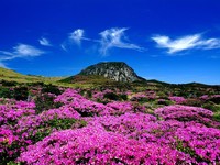 Gunung Tertinggi di Korea Selatan Rusak karena Mie Instan, Kok Bisa?