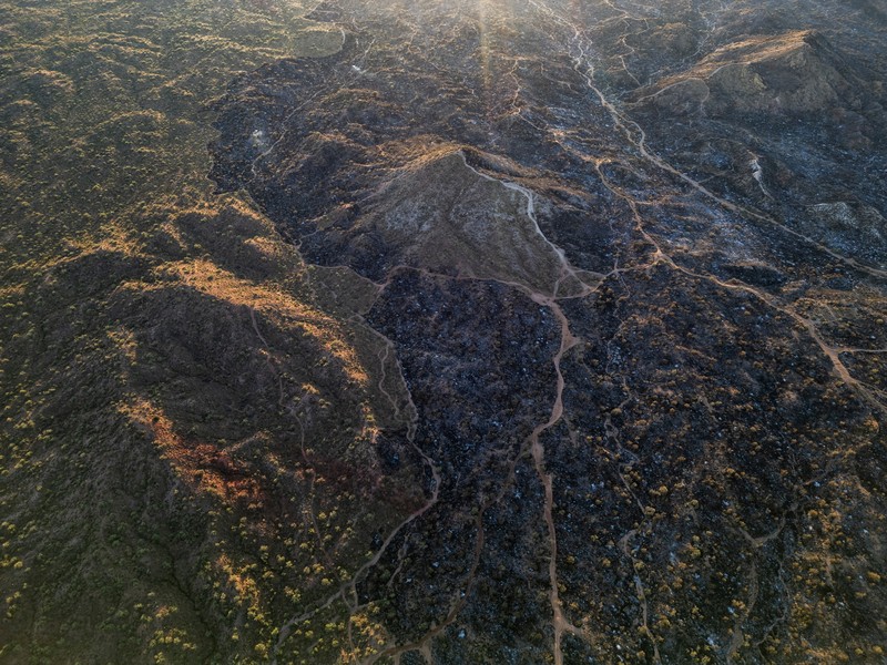 Kondisi ladang Boulder View Fire dekat pemukiman warga yang terbakar di Scottsdale, Maricopa County, Arizona, Amerika Serikat (AS), Jumat (28/6/2024). (REUTERS/Go Nakamura)
