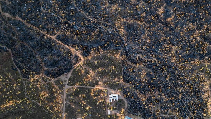 Kondisi ladang Boulder View Fire dekat pemukiman warga yang terbakar di Scottsdale, Maricopa County, Arizona, Amerika Serikat (AS), Jumat (28/6/2024). (REUTERS/Go Nakamura)