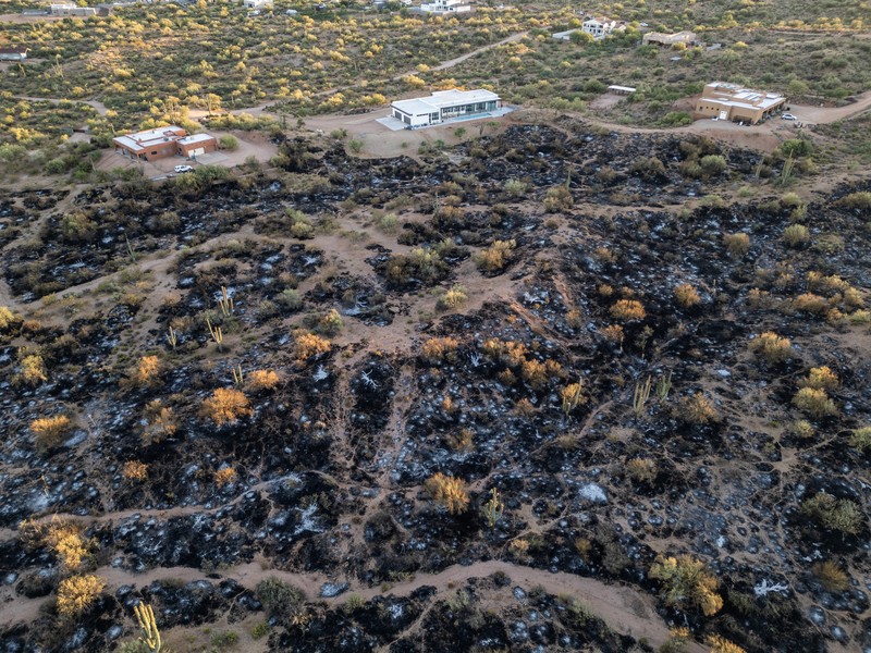 Kondisi ladang Boulder View Fire dekat pemukiman warga yang terbakar di Scottsdale, Maricopa County, Arizona, Amerika Serikat (AS), Jumat (28/6/2024). (REUTERS/Go Nakamura) Kondisi ladang Boulder View Fire dekat pemukiman warga yang terbakar di Scottsdale, Maricopa County, Arizona, Amerika Serikat (AS), Jumat (28/6/2024). (REUTERS/Go Nakamura)