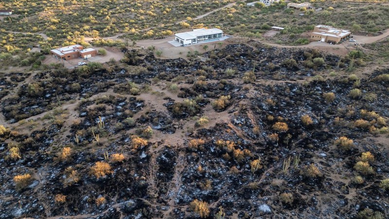 Kondisi ladang Boulder View Fire dekat pemukiman warga yang terbakar di Scottsdale, Maricopa County, Arizona, Amerika Serikat (AS), Jumat (28/6/2024). (REUTERS/Go Nakamura)