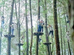 Kopeng Treetop Adventure Park: Jam Buka, Harga, Fasilitas, Daya Tarik