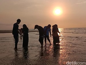 Yuk ke Pantai Greenthing Probolinggo, Alaminya Asri Bisa Cari Kerang Lagi