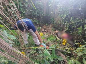 Geger, Mayat Wanita Tanpa Identitas Membusuk di Kebun Kelapa Jembrana
