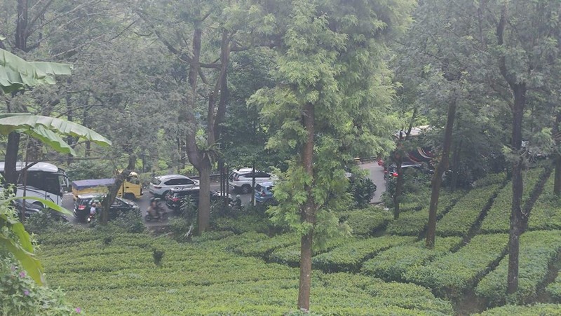 Kendaraan terjebak macet di Jalan Raya Puncak, Cisarua, Kabupaten Bogor, Jawa Barat, Minggu (30/6/2024). (CNBC Indonesia/Sefti Oktarianisa)