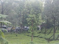 Agenda Hari Ini Senin 26 Agustus: Rapat Haji - Penertiban Jalur Puncak