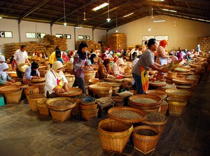 Kampoeng Kopi Banaran: Lokasi, Jam Buka, Harga, Daya Tarik, dan Rute