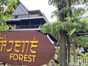 Objek Wisata Alam di Kuningan, Ada Hutan Tengah Kota