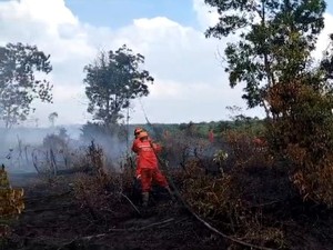 Manggala Agni Padamkan Karhutla di Banyuasin