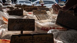 Aduh! Harga Beras Mulai Naik