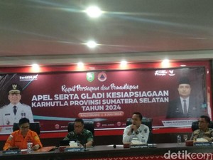 Airlangga Bakal Pimpin Apel Siaga Karhutla di Sumsel, 1.200 Personel Dikerahkan