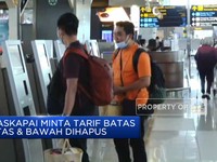 Video: Maskapai Minta Tarif Batas Atas & Bawah Tiket Pesawat Dihapus