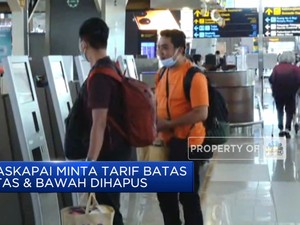 Video: Maskapai Minta Tarif Batas Atas & Bawah Tiket Pesawat Dihapus