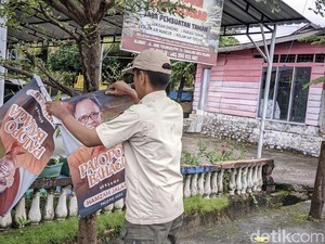 DLH Palopo Tertibkan 1.131 Banner-Baliho Dipaku di Pohon, Ada APK Pilkada