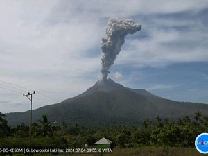 Gunung Lewotobi Laki-laki Meletus, Tinggi Kolom Abu 900 Meter
