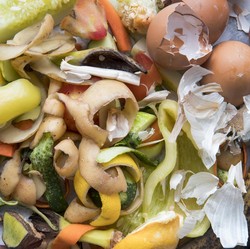 5 Fakta Orang Indonesia Juara Buang-Buang Makanan