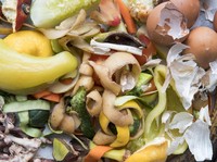 Problem Sampah Makanan di Indonesia: Akar Masalah dan Solusinya