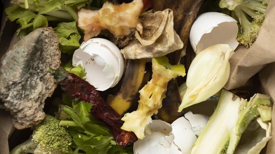 Ilustrasi sampah makanan. (Dok. Freepik)