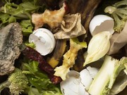 Menyatukan Kekuatan dalam Perang Melawan Krisis Sampah