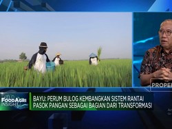 Perbaiki Distribusi Pangan, Bulog 'Nyontek' ke China Hingga India