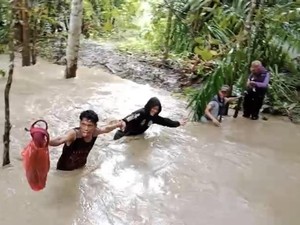 Pantarlih di Muna Bertaruh Nyawa Terobos Derasnya Sungai demi Coklit 10 Warga