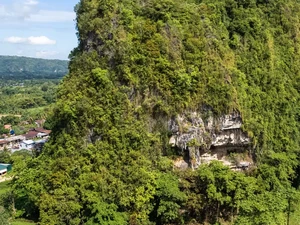 Seni Gua Tertua di Dunia Ada di Indonesia, Usianya Ribuan Tahun