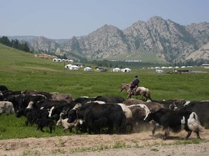 6 Fakta Mongolia, Negara yang Pernah Menjadi Kekaisaran Terbesar Dunia