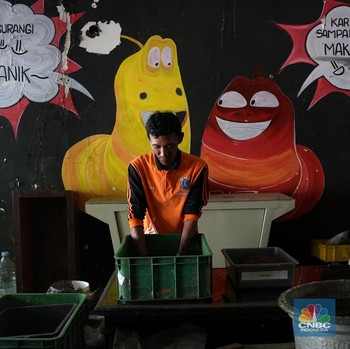 Intip Larva Lalat Jadi Cuan di Sini, dari Sampah Disulap Jadi Rupiah