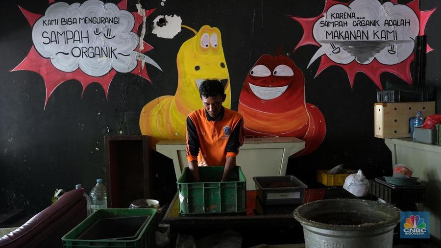 Petugas PPSU memperlihatkan ulat Maggot atau larva lalat BSF yang dibudidayakan di Kelurahan Pasar Minggu, Jakarta Selatan, Jumat (05/7/2024). (CNBC Indonesia/Muhammad Sabki)