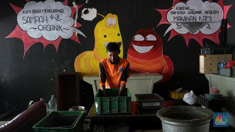 Petugas PPSU memperlihatkan ulat Maggot atau larva lalat BSF yang dibudidayakan di Kelurahan Pasar Minggu, Jakarta Selatan, Jumat (05/7/2024). (CNBC Indonesia/Muhammad Sabki)