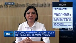 Video: PT Pelni Dapat Guyuran PMN Rp1,5 Triliun, Untuk Apa Saja?