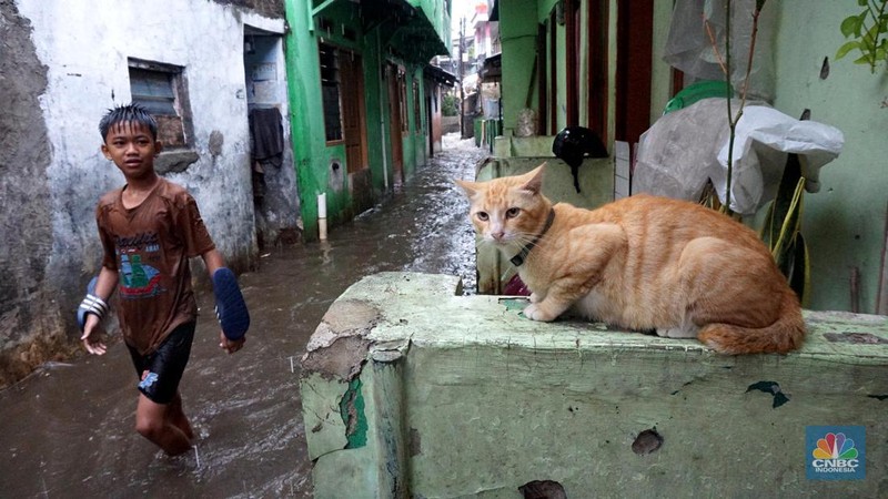 Banjir Jakarta. (CNBC Indonesia/Muhammad Sabki)