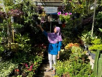 Bisnis Terus Berkembang, Ini Cerita Klaster Bunga Bratang Binaan BRI