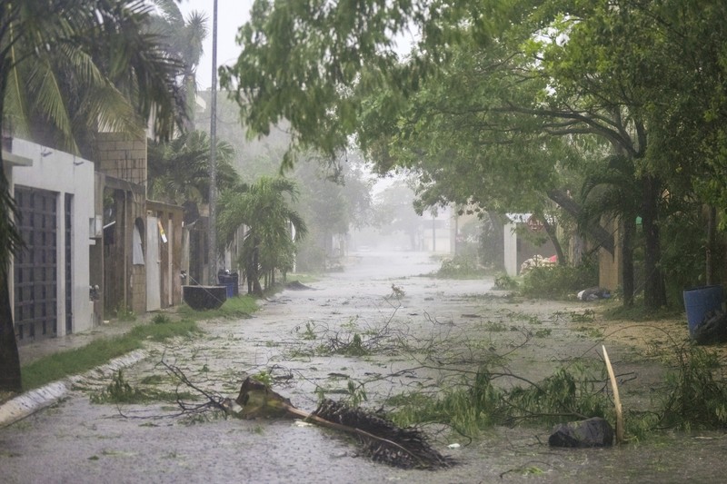 STORM-BERYL/MEXICO Palm trees sway as Tropical Storm Beryl advances, in Progreso, Mexico, July 5, 2024. REUTERS/Lorenzo Hernandez