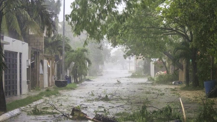 Palm trees sway as Tropical Storm Beryl advances, in Progreso, Mexico, July 5, 2024. REUTERS/Lorenzo Hernandez