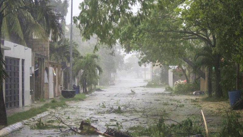 Las palmeras se balancean mientras la tormenta tropical Beryl avanza en Progreso, México, el 5 de julio de 2024.  REUTERS/Lorenzo Hernández