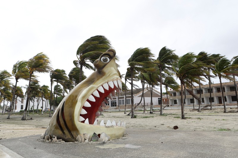 Palm trees sway as Tropical Storm Beryl advances, in Progreso, Mexico, July 5, 2024. REUTERS/Lorenzo Hernandez