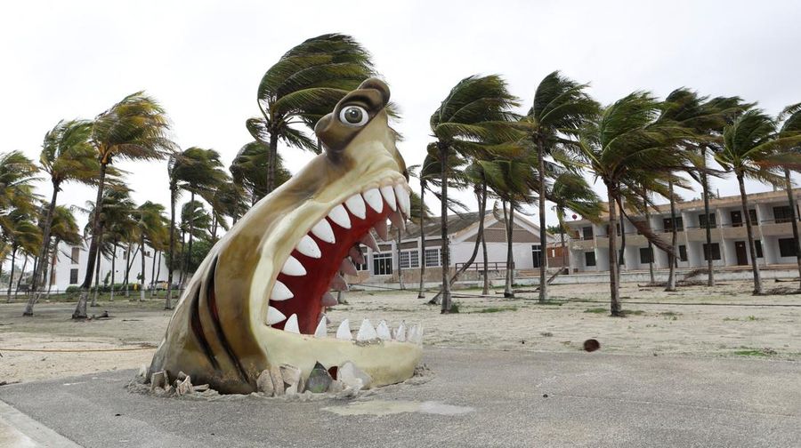 Palm trees sway as Tropical Storm Beryl advances, in Progreso, Mexico, July 5, 2024. REUTERS/Lorenzo Hernandez