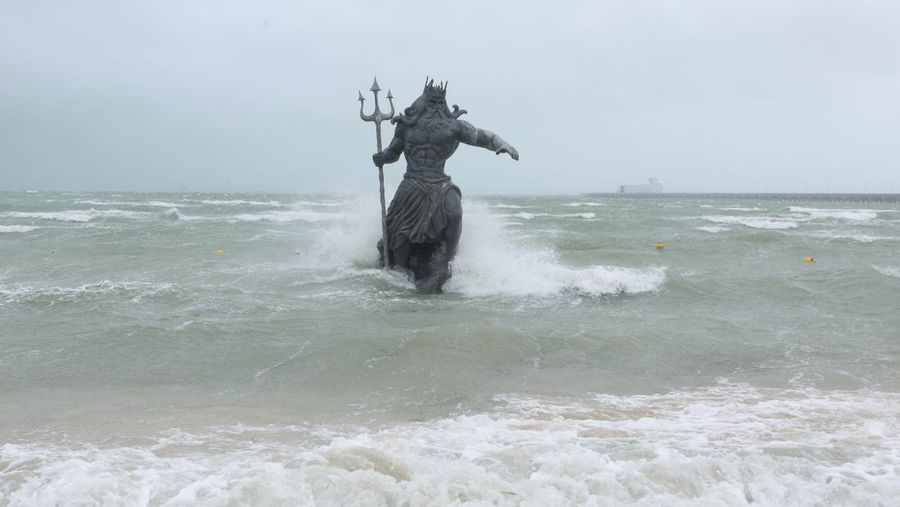 Palm trees sway as Tropical Storm Beryl advances, in Progreso, Mexico, July 5, 2024. REUTERS/Lorenzo Hernandez